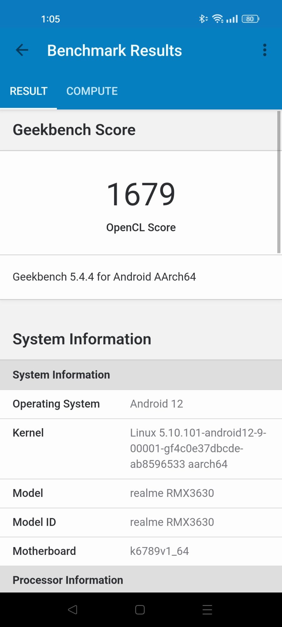 realme 10 Geekbench 5 OpenCL