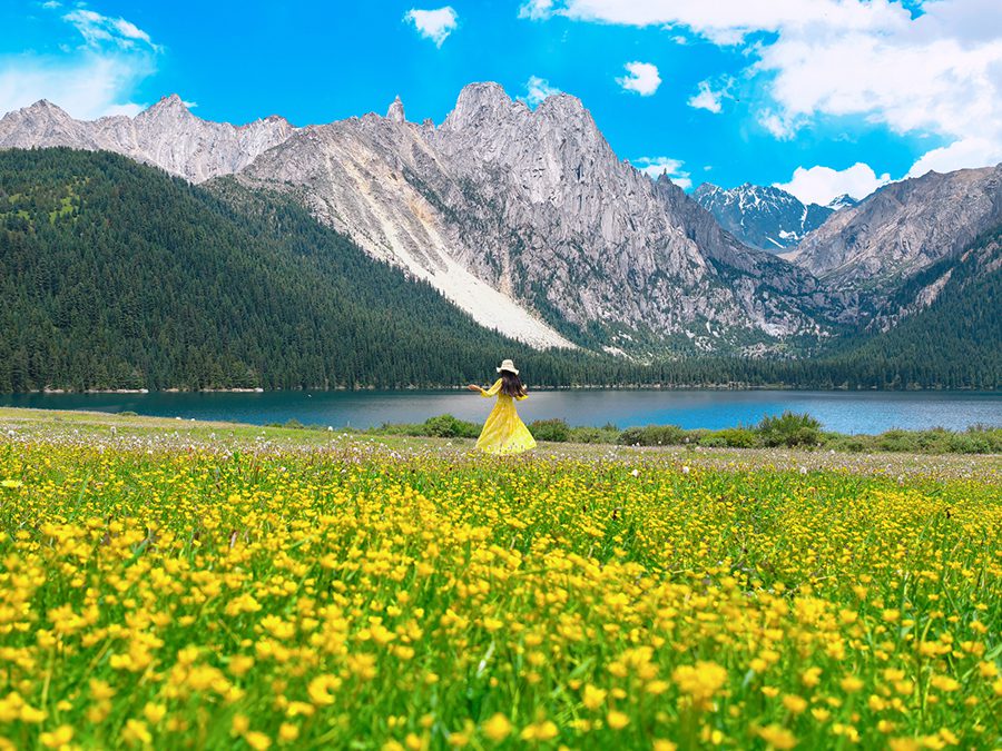 Turn Landscapes, Portraits, and Greenery into Colorful Masterpieces 2