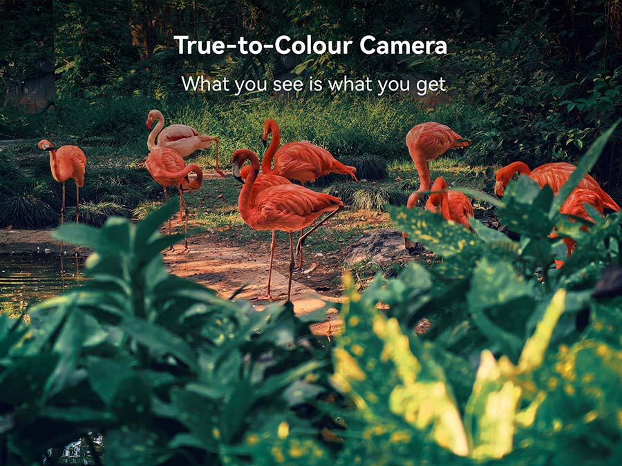 True-to-Color Camera
