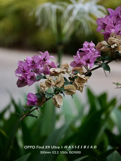 OPPO Find X9 (3) courtesy of PJ Icogo