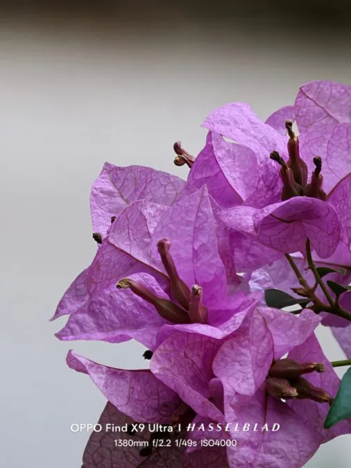 OPPO Find X9 (4) courtesy of PJ Icogo